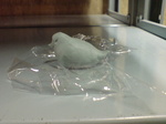 20091016153640.jpg