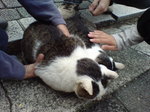 20091104103041.jpg